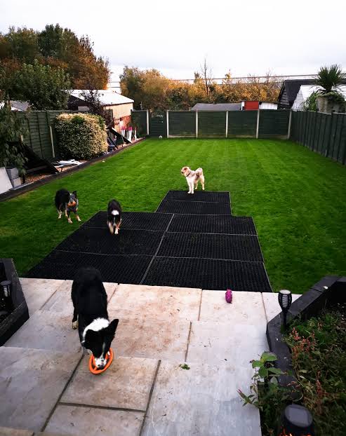 Grass Protection Mats: How to Keep Lawns, Turf, and Natural Ground Cover Intact