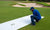 Natural Ground Protection Mat 3'x8'